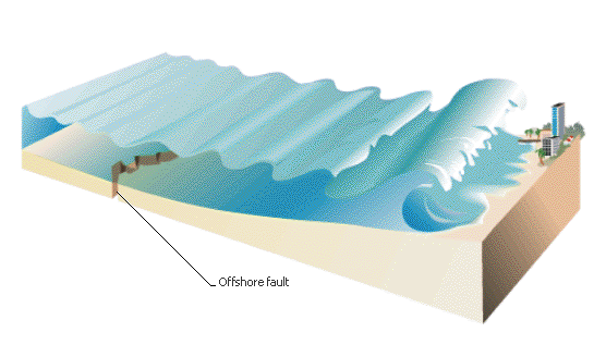 The mechanics of a Tsunami
